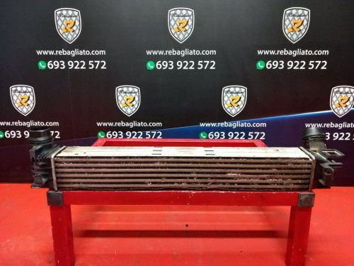  INTERCOOLER, RENAULT, SCENIC III (JZ) 