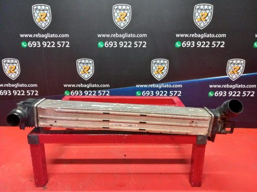  INTERCOOLER, RENAULT, SCENIC III (JZ) 