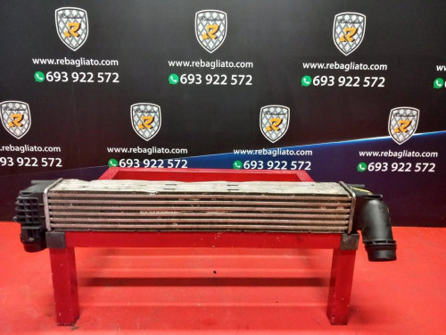  INTERCOOLER, RENAULT, SCENIC III (JZ) 