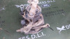 BOMBA DIRECCION Opel OMEGA B 