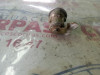 BOMBIN PORTON TRASERO TOYOTA LAND CRUISER (J9) 