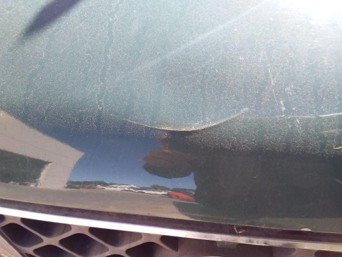 CAPO Nissan PATHFINDER (R51) 