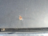  CAPO AUDI A4 CABRIOLET (8H) 