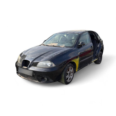 SEAT IBIZA (6L1)
