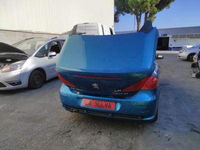 PEUGEOT 307 CC CABRIO-COUPÉ (S2)