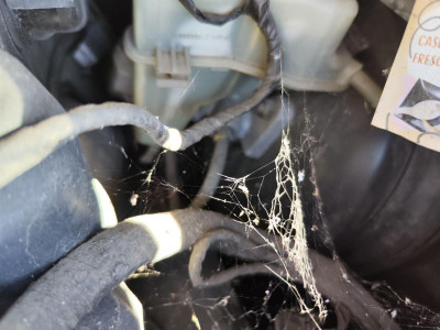 BOMBA FRENO, BMW, SERIE X5 (E53)