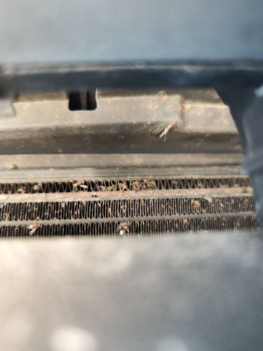  VOLKSWAGEN GOLF PLUS V (5M1) 