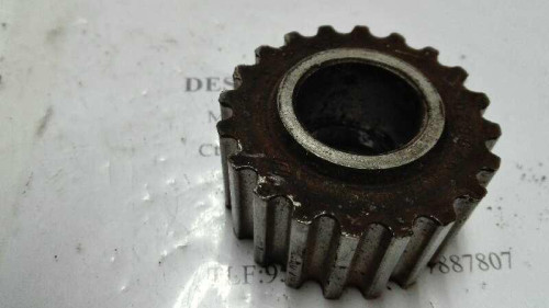  NO IDENTIFICADO 