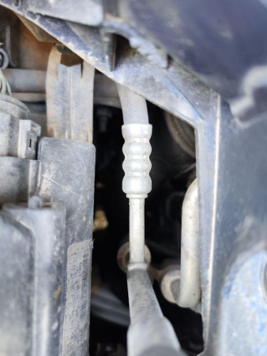 CLAXON, FORD, FOCUS CABRIO (CA5)