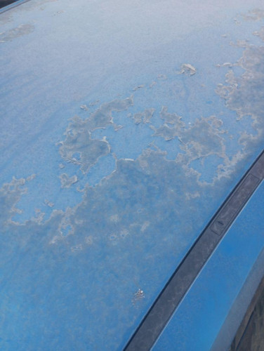 TECHO Ford FOCUS BERLINA (CAP) 