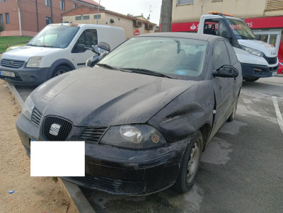 SEAT IBIZA (6L1)