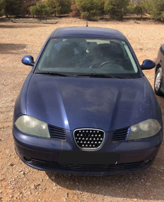 SEAT IBIZA (6L1)