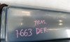 PORTON TRASERO DERECHO RENAULT TRAFIC II COMBI 