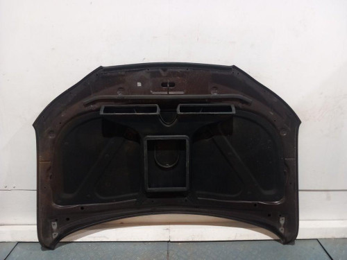  CAPO HYUNDAI SANTA FE (CM) 