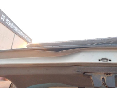PORTON TRASERO Renault Scenic II (JM)(2003->)