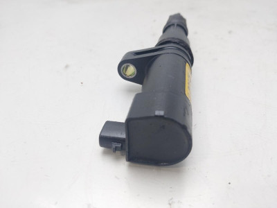 BOBINA ENCENDIDO, RENAULT, SCENIC I (JA...)