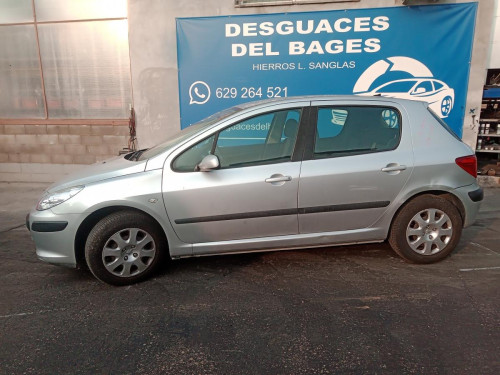  PEUGEOT 307 BERLINA (S2) 