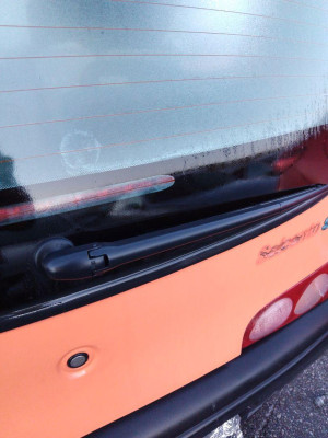 BRAZO LIMPIA TRASERO