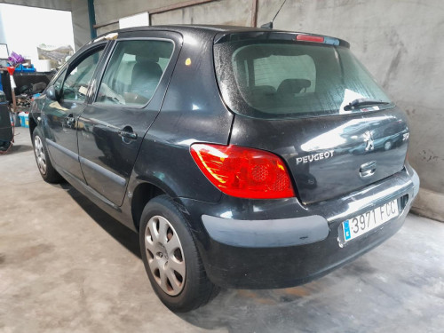  PEUGEOT 307 BERLINA (S2) 