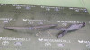 BRAZO LIMPIA DELANTERO IZQUIERDO Mercedes-Benz CLASE C (BM 204) BERLINA 