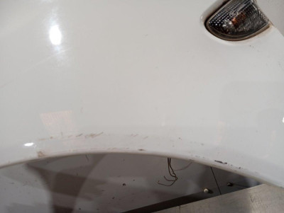 ALETA DELANTERA IZQUIERDA, SMART, FORTWO COUPE