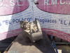 CAJA CAMBIOS MG ROVER ROVER 75 (RJ) 