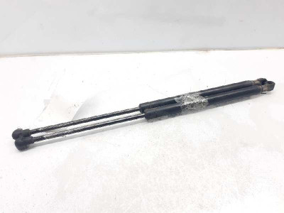 AMORTIGUADORES MALETERO / PORTON, OPEL, CORSA C