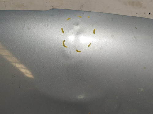  CAPO PEUGEOT 206 