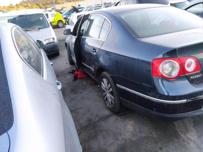 MANETA EXTERIOR TRASERA IZQUIERDA, VOLKSWAGEN, PASSAT BERLINA (3C2)