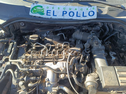  VOLKSWAGEN PASSAT CC (357) 