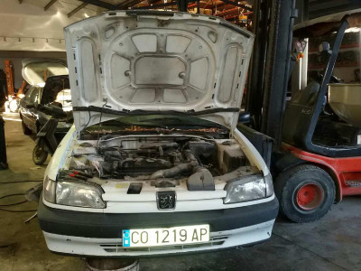 PEUGEOT 306 3/5 PT. (S1)(01.1993)