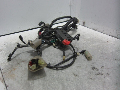 CABLEADO ELECTRICO, HONDA, PCX 125