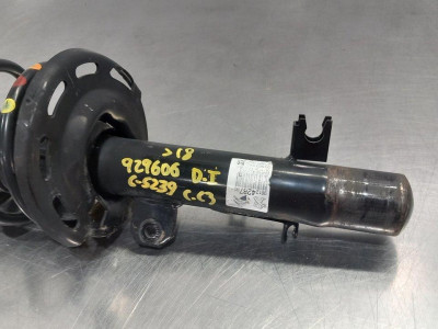AMORTIGUADOR DELANTERO IZQUIERDO, CITROEN, C3