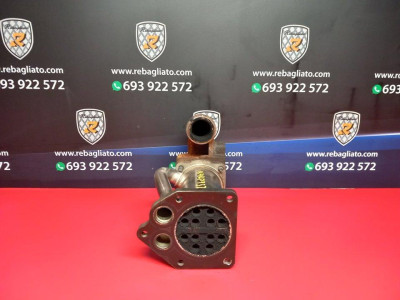 ENFRIADOR EGR, RENAULT, SCENIC II (JM)