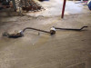 TUBO ESCAPE COMPLETO AUDI A4 AVANT (8E) 