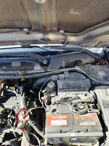 MOTOR LIMPIA DELANTERO RENAULT MEGANE II BERLINA 5P 