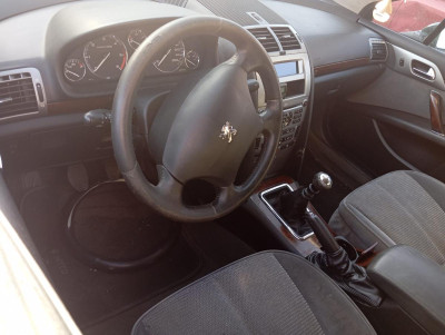 PEUGEOT 407 SW