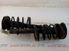 JUEGO AMORTIGUADORES DELANTERO Peugeot 206 