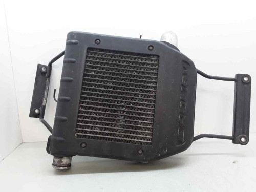 INTERCOOLER Kia CARENS (RS) 
