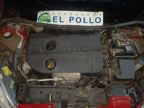  FORD FIESTA (CNN) 