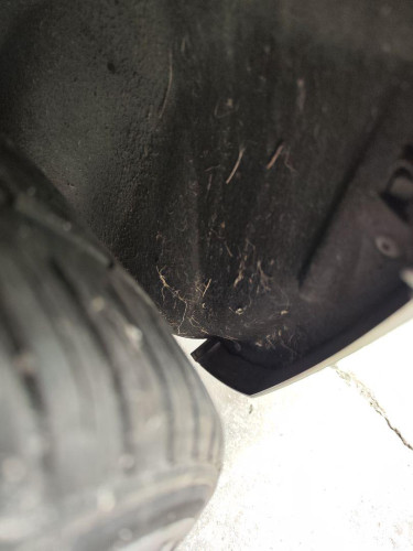PASO RUEDA TRASERO IZQUIERDO AUDI A5 COUPE (8T) 
