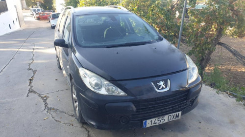  PEUGEOT 307 BREAK/ SW (S2) 