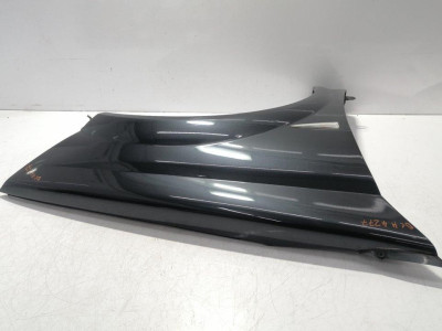 ALETA DELANTERA DERECHA, RENAULT, MEGANE II COUPE/CABRIO