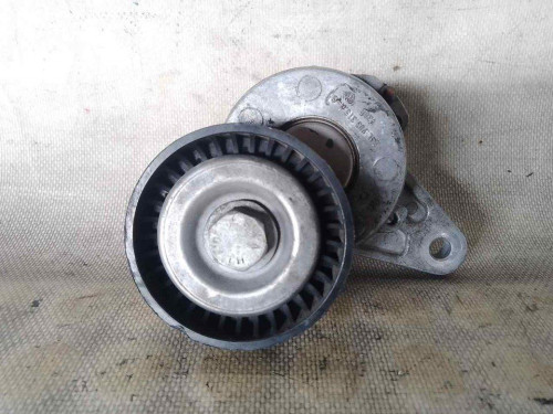 TENSOR CORREA AUXILIAR Volkswagen GOLF SPORTSVAN VII (AM1)(12.2013) 