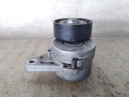 TENSOR CORREA AUXILIAR Volkswagen GOLF SPORTSVAN VII (AM1)(12.2013) 