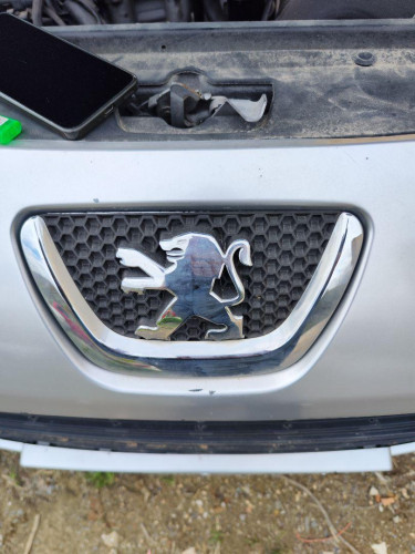  REJILLA DELANTERA PEUGEOT 307 BREAK/ SW (S2) 