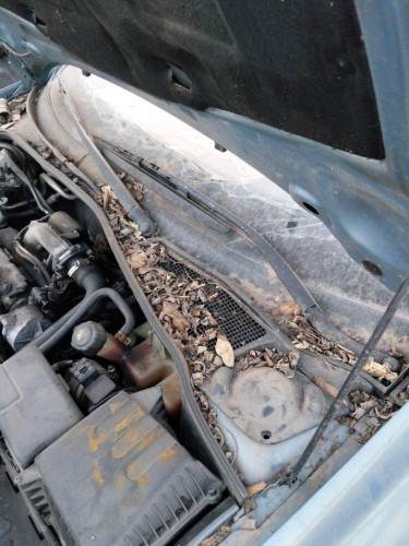 ARTICULACION LIMPIA DELANTERA Renault LAGUNA II (BG0) 