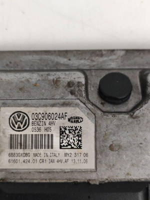CENTRALITA MOTOR UCE, SEAT, IBIZA (6L1)