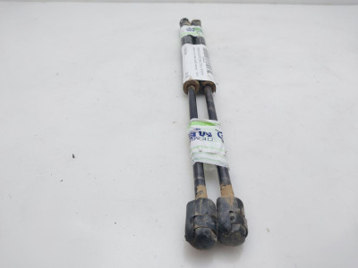 AMORTIGUADORES MALETERO / PORTON, RENAULT, CLIO II FASE II (B/CB0)