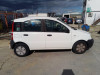  FIAT II PANDA (169) 